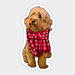 Cavapoo Cavoodle in festive red scarf- cute cavalier king charles spaniel snug in a snowflake themed scarf Sticker